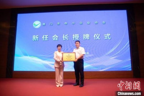 精準畫像助力，廈門中小企業借力網站建設駛入發展快車道